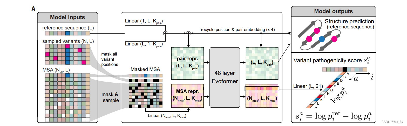 fig1a