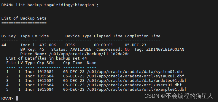 Oracle（2-11）RMAN Backups