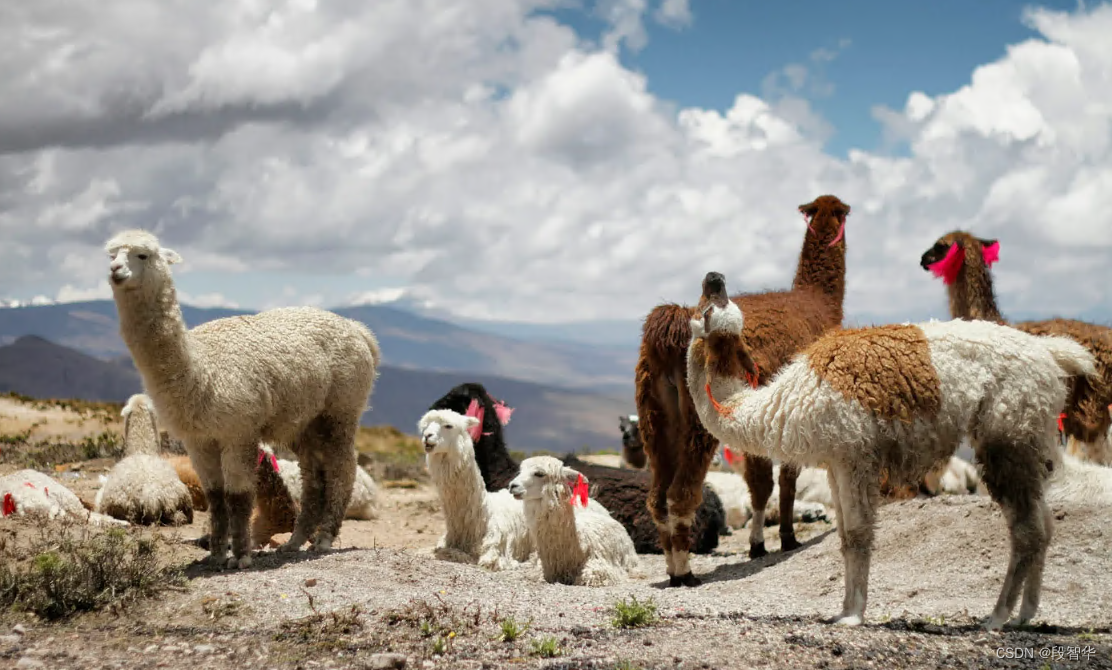 <span style='color:red;'>基于</span> <span style='color:red;'>LlaMA</span> <span style='color:red;'>3</span> + <span style='color:red;'>LangGraph</span> <span style='color:red;'>在</span><span style='color:red;'>windows</span><span style='color:red;'>本地</span><span style='color:red;'>部署</span><span style='color:red;'>大</span><span style='color:red;'>模型</span> （一）