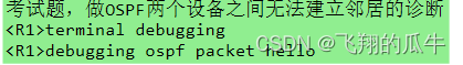 OSPF特殊<span style='color:red;'>区域</span>（stub\<span style='color:red;'>nssa</span>）