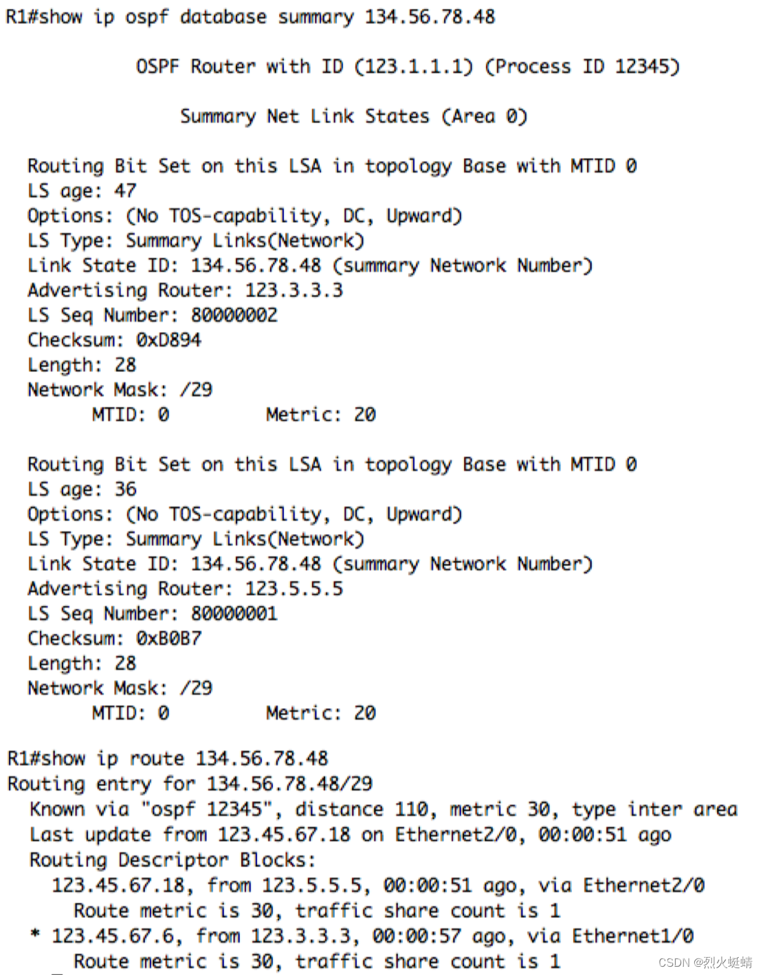 CCIE-07-OSPF_TS