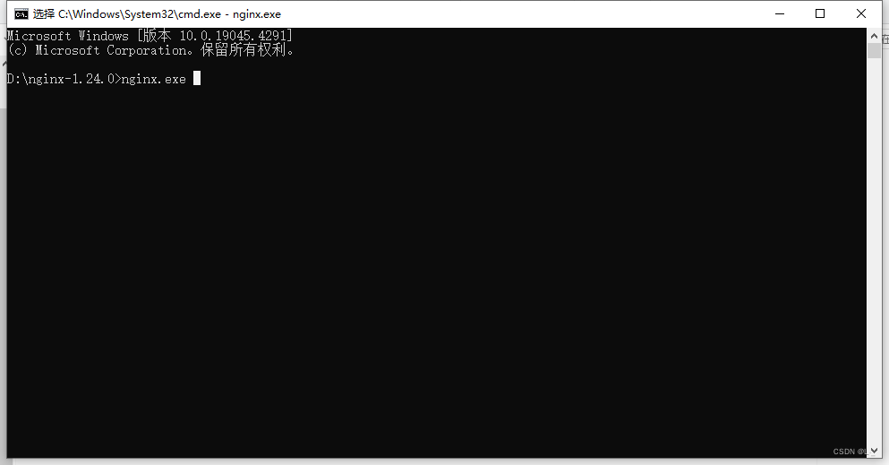 输入命令 nginx.exe 启动