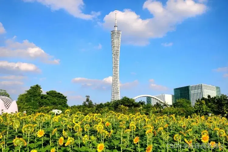 2024年旅游管理、经济与文化产业国际会议 (TMECI 2024)