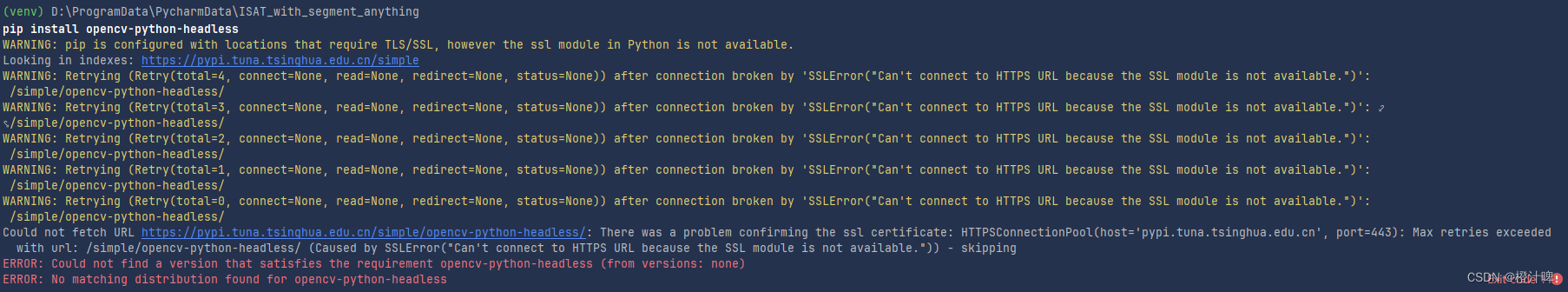 WARNING: pip is configured with locations that require TLS/SSL