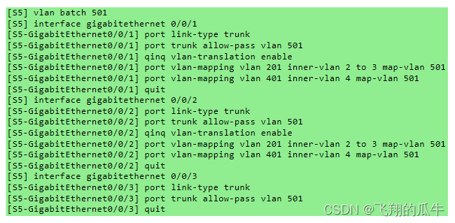 网工交换基础——VLAN Maping