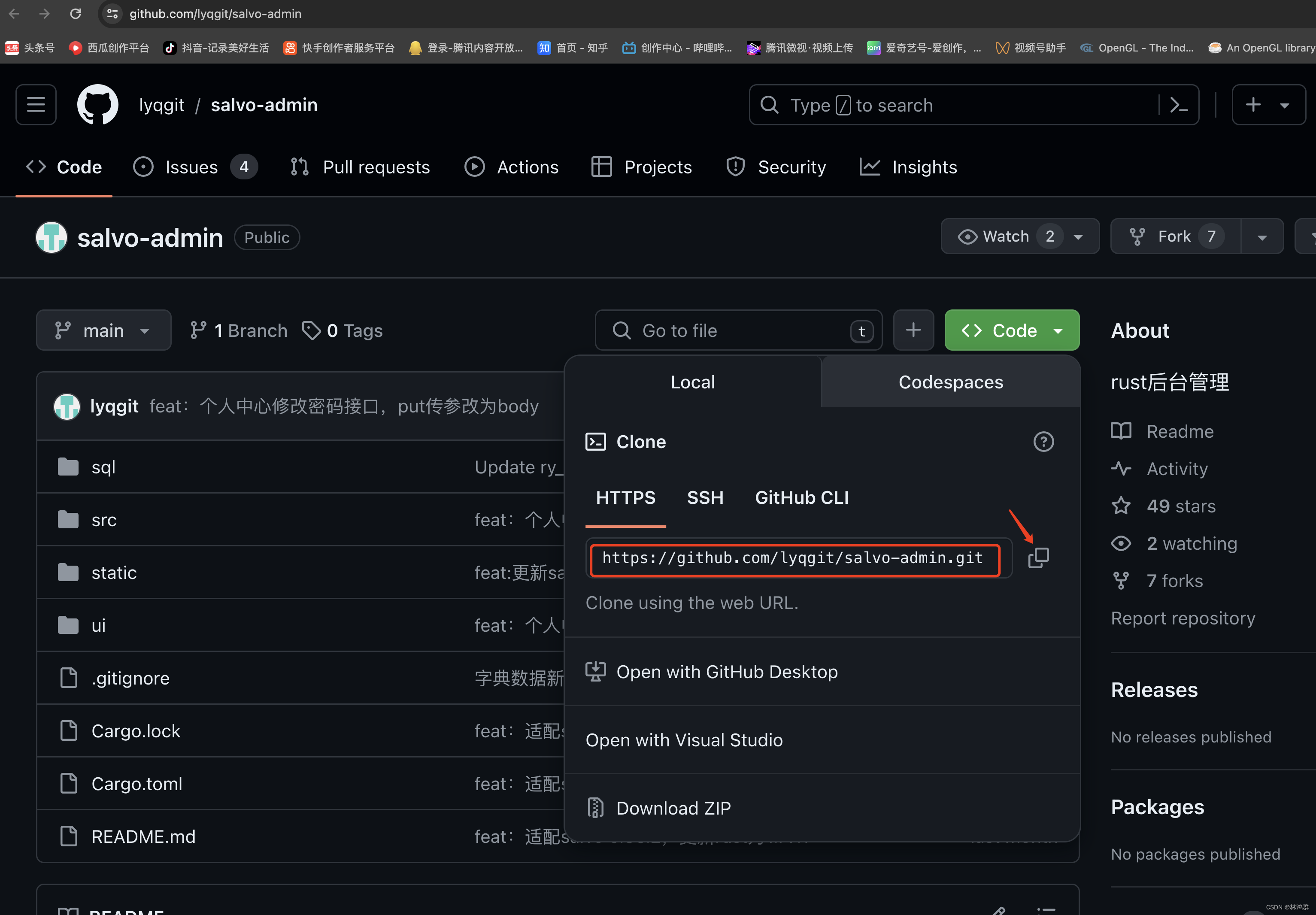 Rust后台管理系统Salvo-admin源码编译