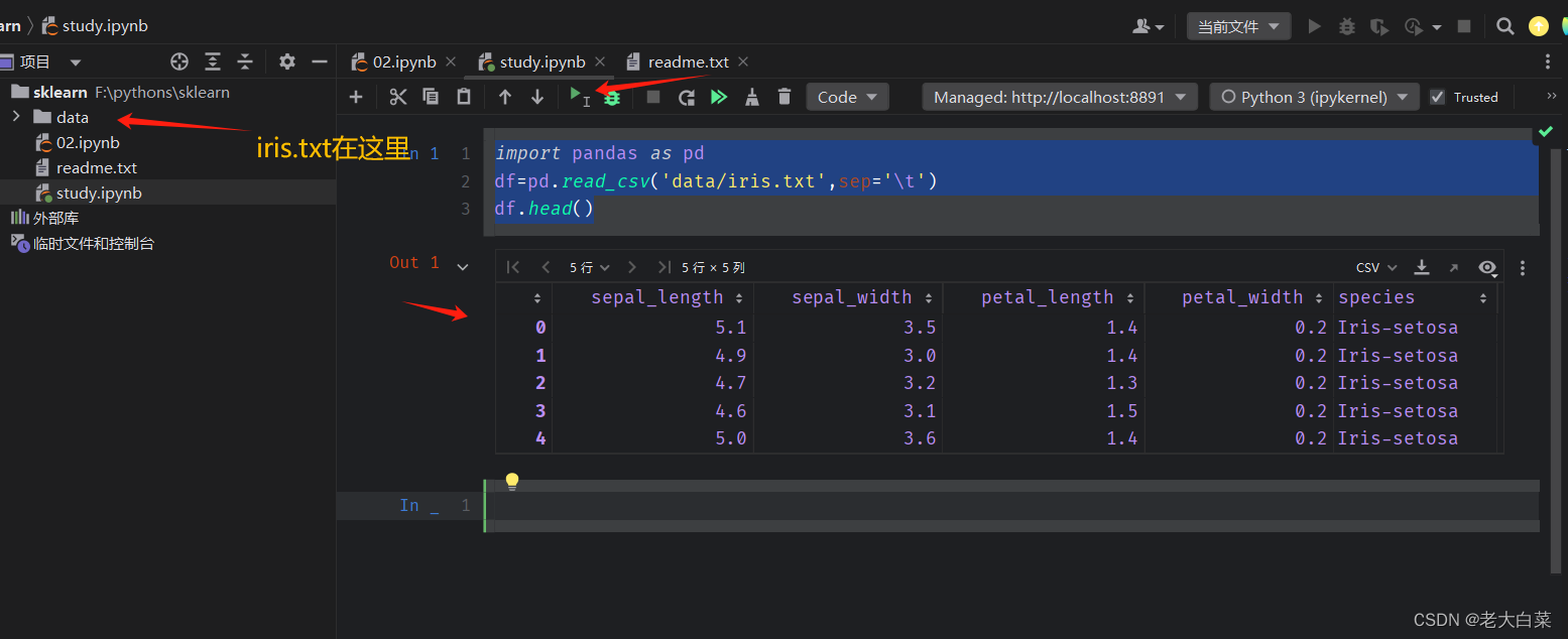 sklearn学习的一个例子用pycharm jupyter