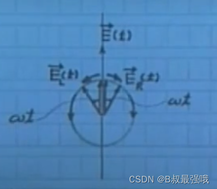 线偏振光分解