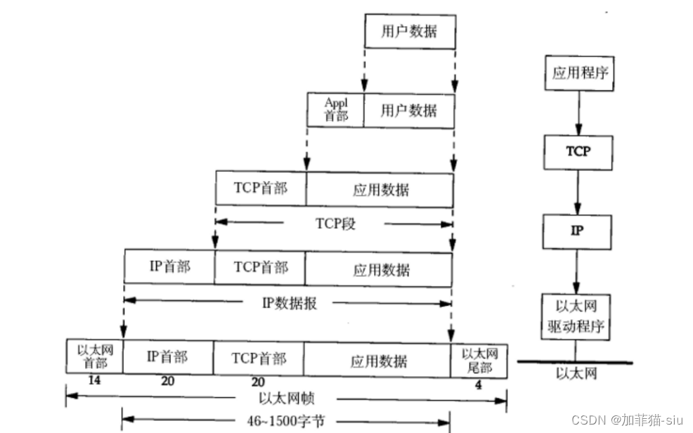 计算机网络原理基础