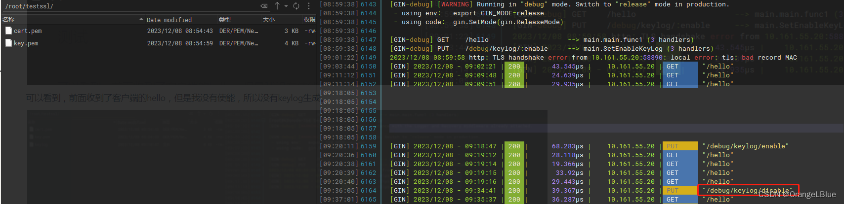 golang https server如何设计方便抓包定位且安全