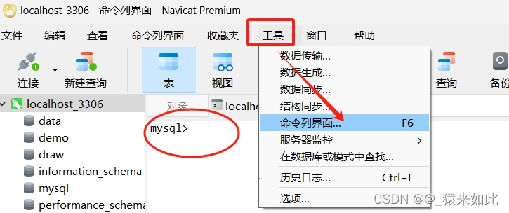 Mysql与Navicat可视化命令大全 ----项目实战