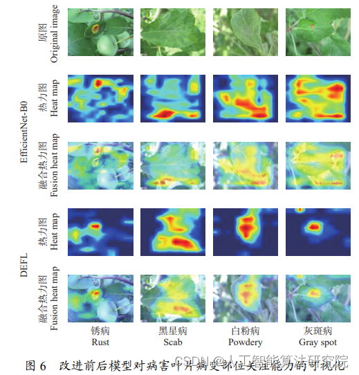 【目标检测论文解读复现NO.35】采用改进的 EfficientNet 识别苹果叶片病害