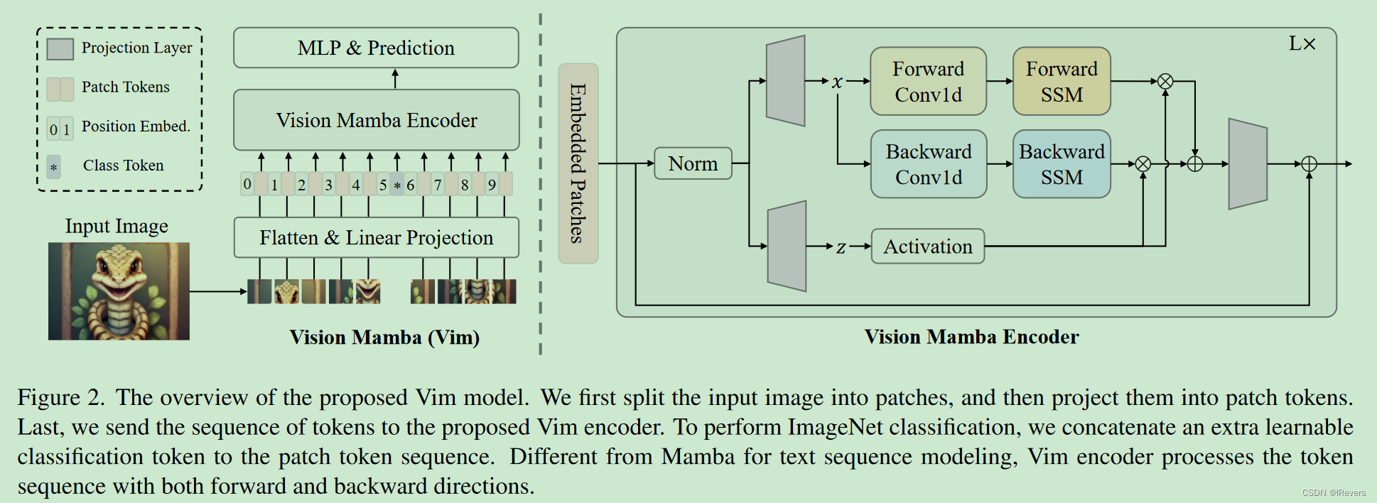 Vision Mamba 双向状态空间模型下的高效视觉表示学习