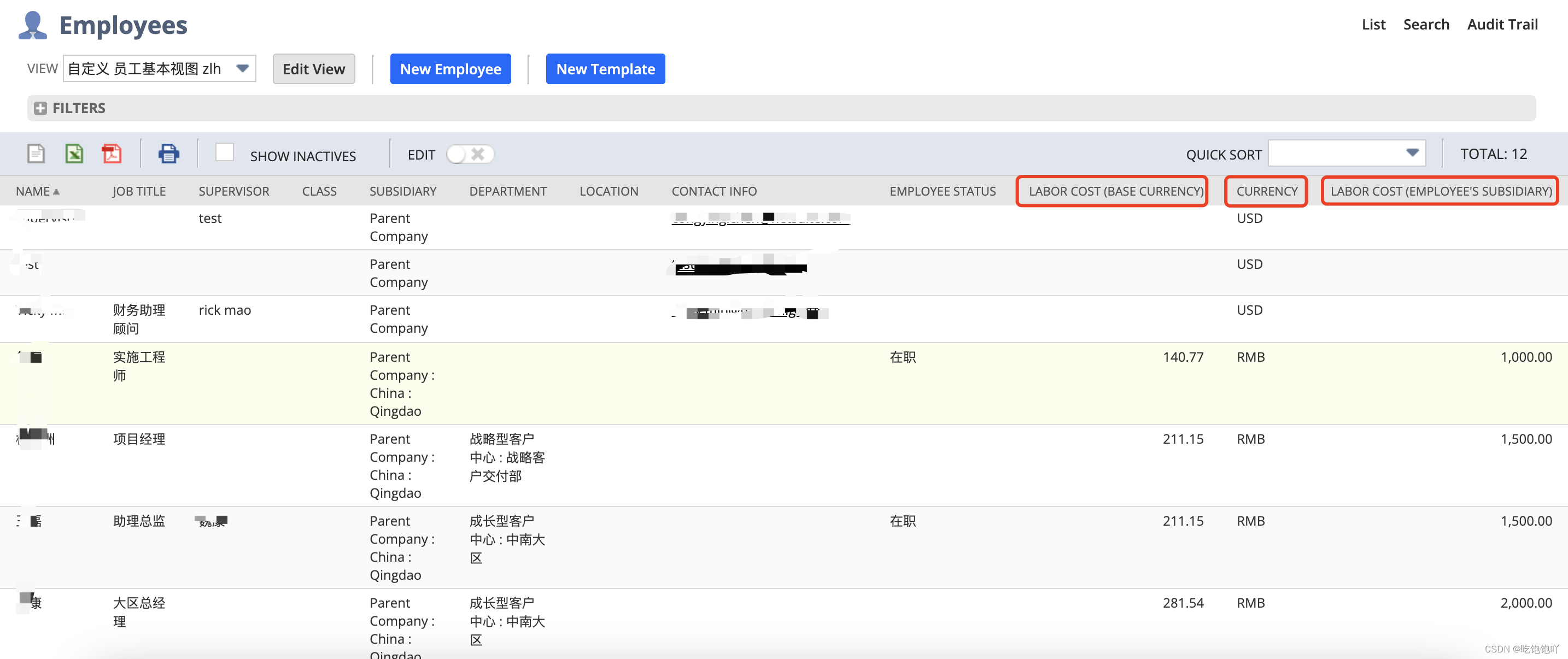 NetSuite学习笔记 - 人工成本字段如何按员工所属公司货币显示