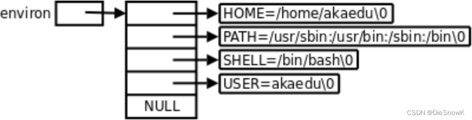 [Linux][环境变量][进程地址空间]详细解读