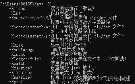 JVM支持的可配置参数查看和分类