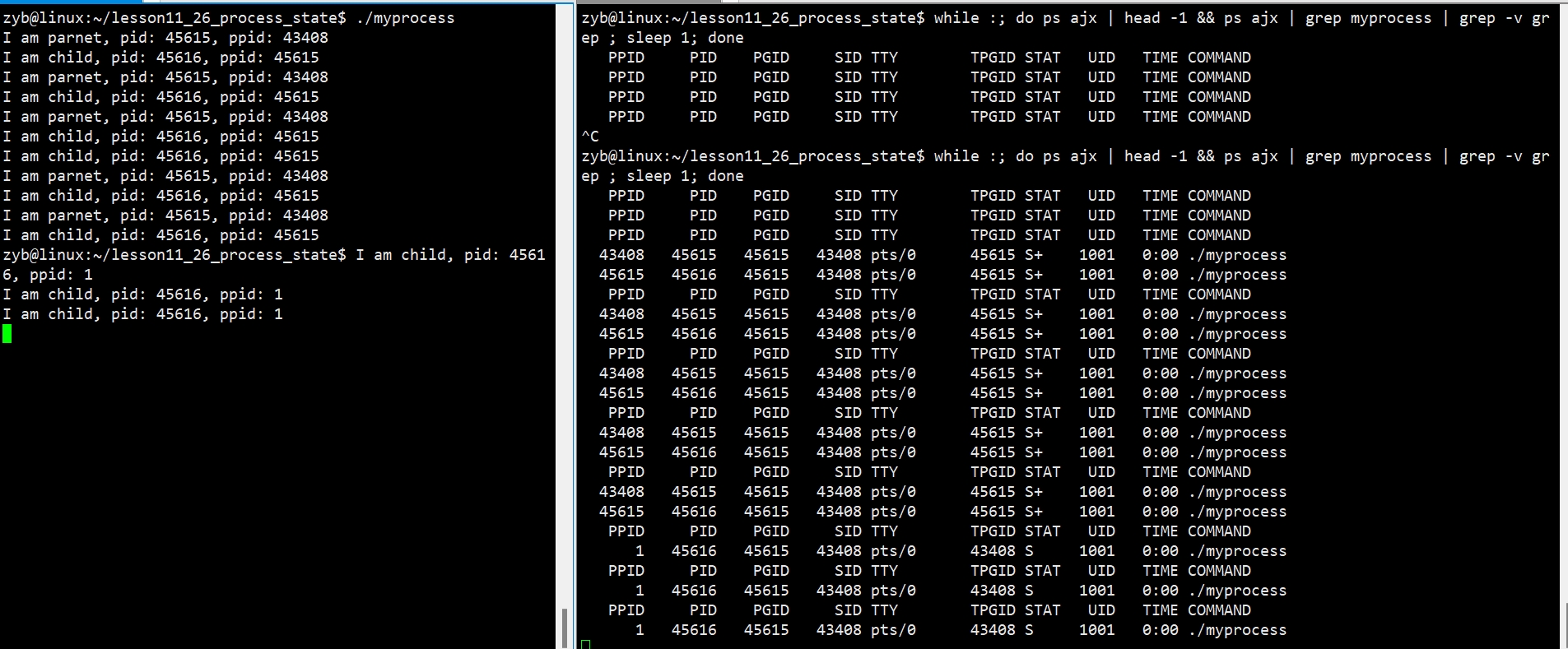 Linux进程状态深度解析：探索进程的生命周期