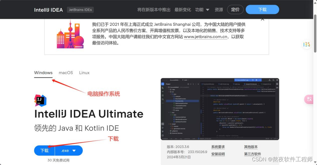 下载IDEA