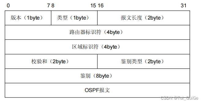 OSPF 报文格式