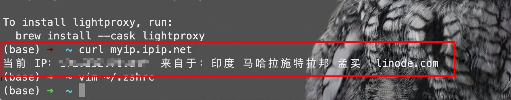 mac终端使用代理加速下载