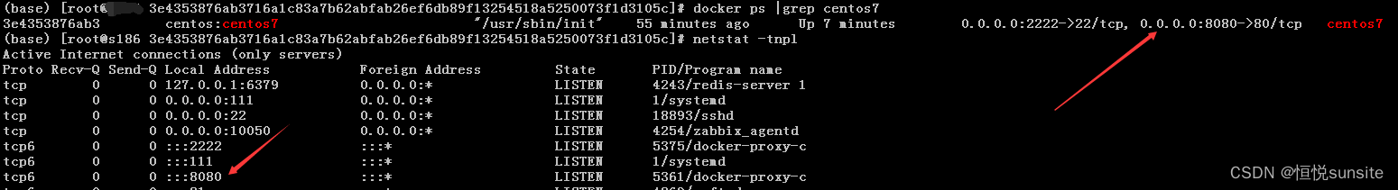 docker之centos7容器常用命令和服务安装