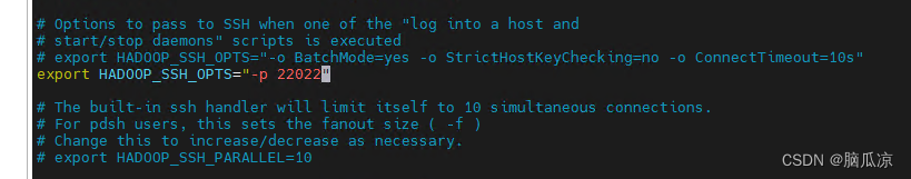 Hbase-2.4.11_hadoop-3.1.3集群_大数据集群_SSH修改默认端口22为其他端口---记录025_大数据工作笔记0185