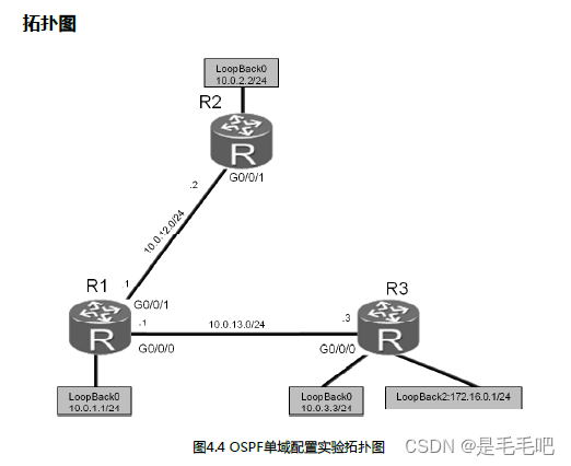 ensp实验合集（二）