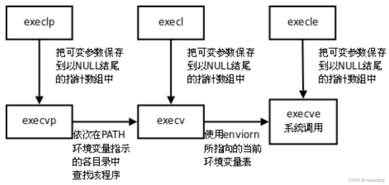 Linux学习_进程等待和替换