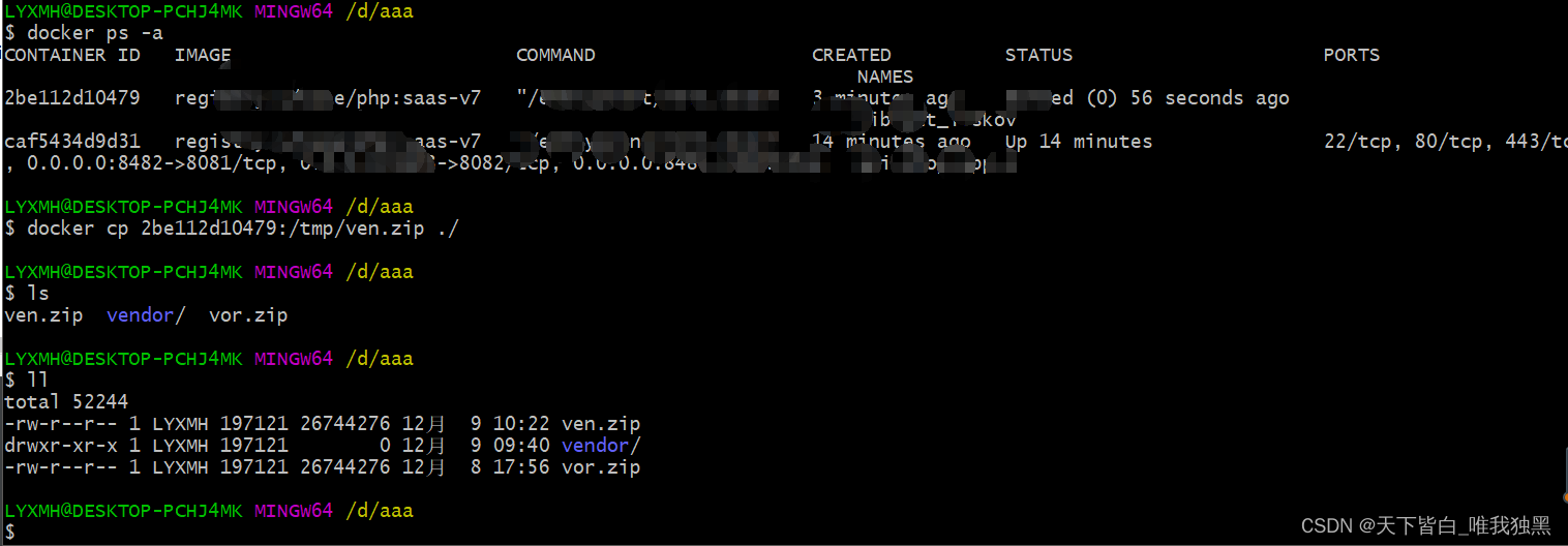 windows本地拷贝docker镜像中的文件