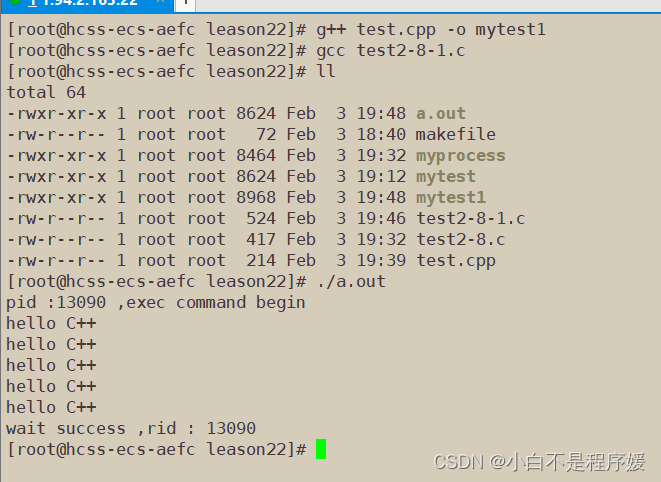 【Linux系统化学习】进程替换