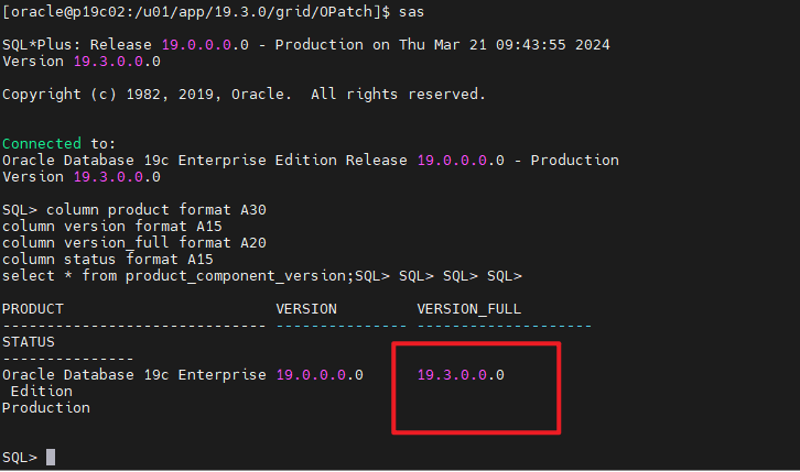 Oracle 19C RAC集群补丁升级