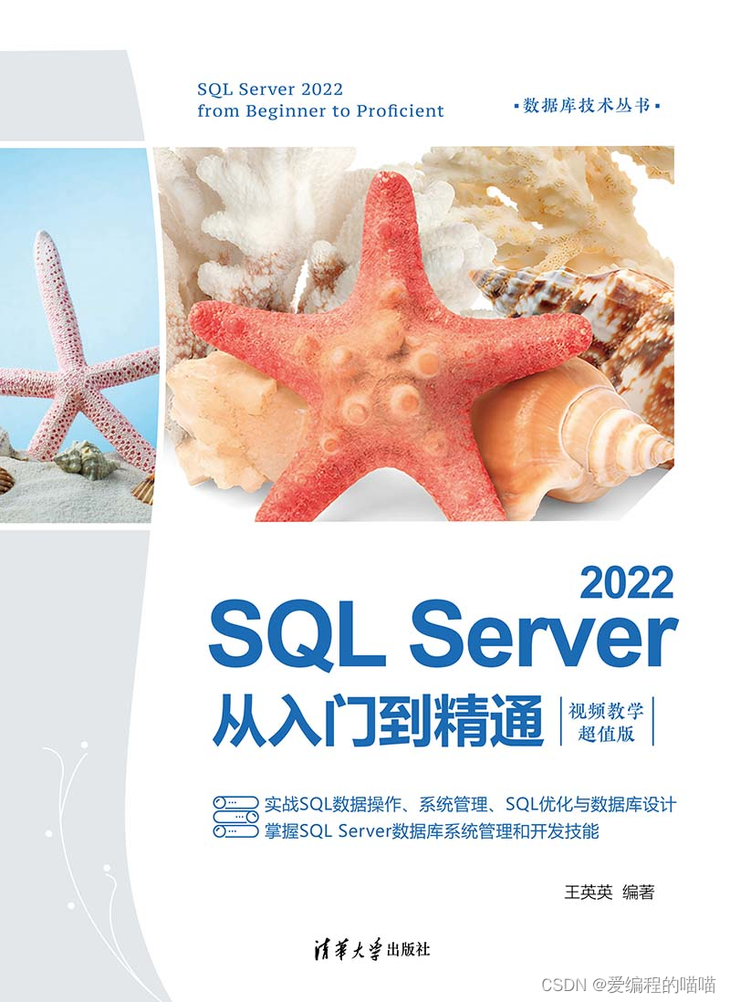 SQL Server 2022从入门到精通