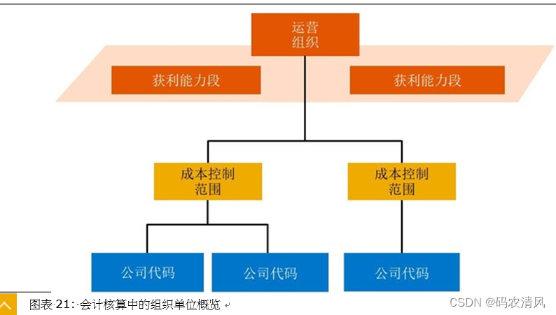 SAP-CentralFinance - 会计核算中的组织要素 - 学习心得1