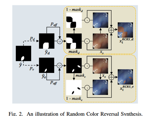 基于随机颜色反转合成和双分支学习的单模态内镜息肉分割