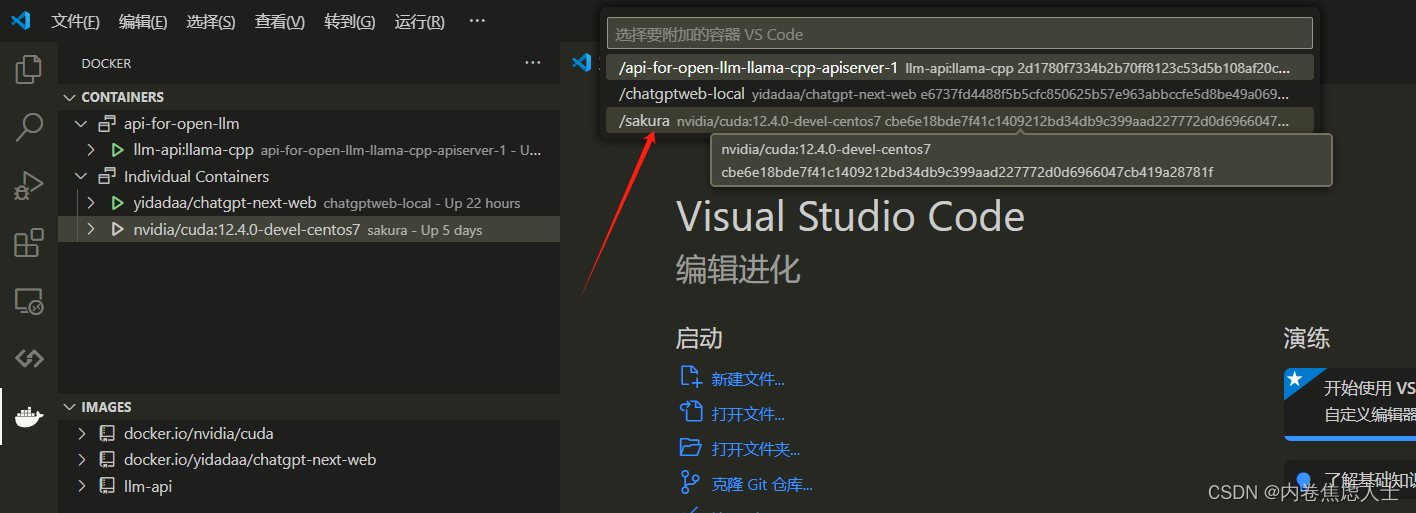 【超级简单】vscode进入服务器的docker容器