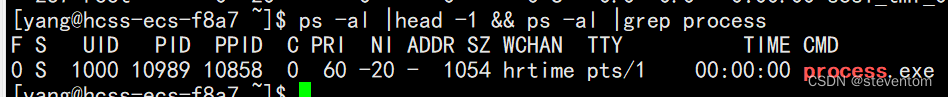 Linux之冯诺依曼体系，操作系统，进程的理解，进程状态，以及进程的优先级