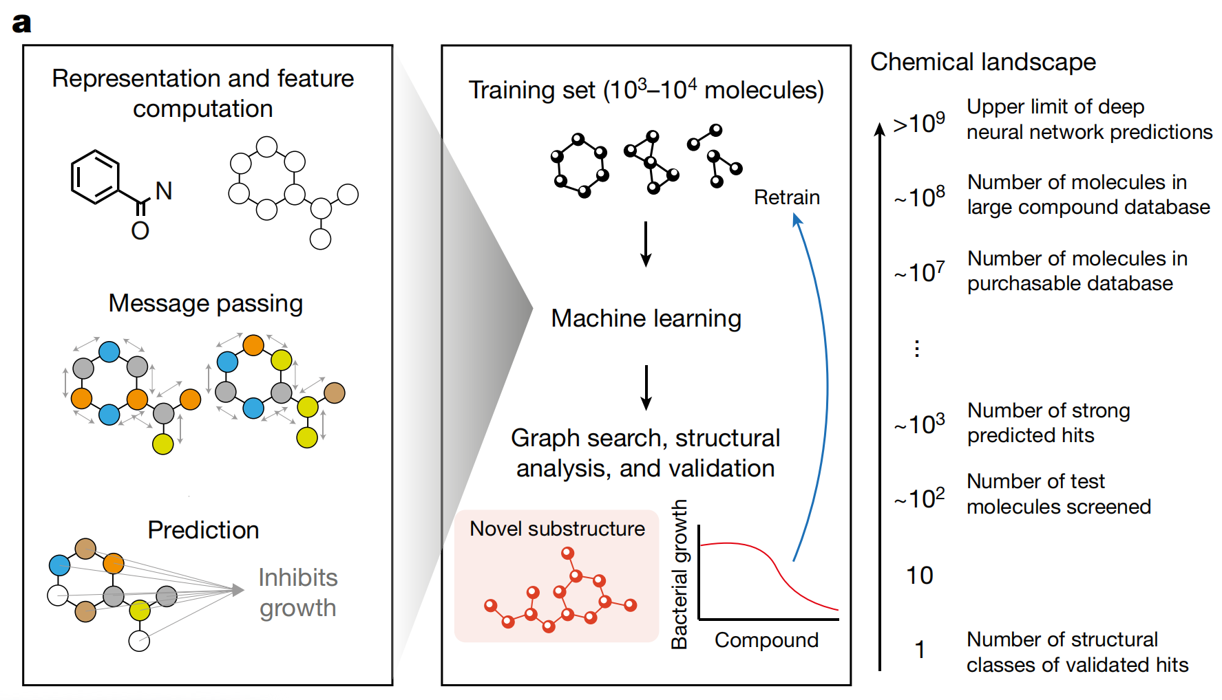 【Nature 2023】Discovery Of A Structural Class Of Antibiotics With ...