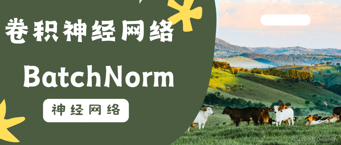 神经网络：卷积神经网络中的BatchNorm