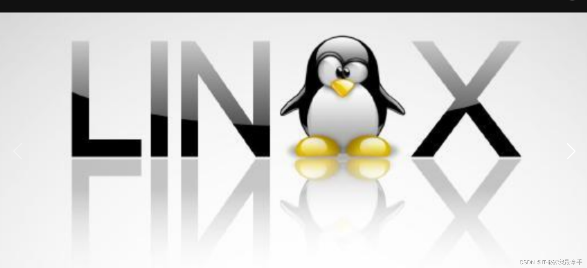 Linux常用命令之文件管理篇