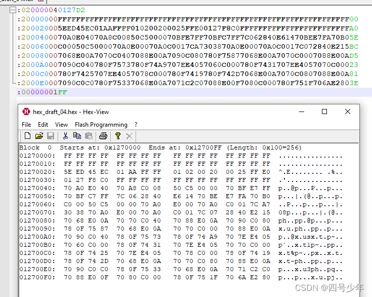 Hex 文件类型字段详解