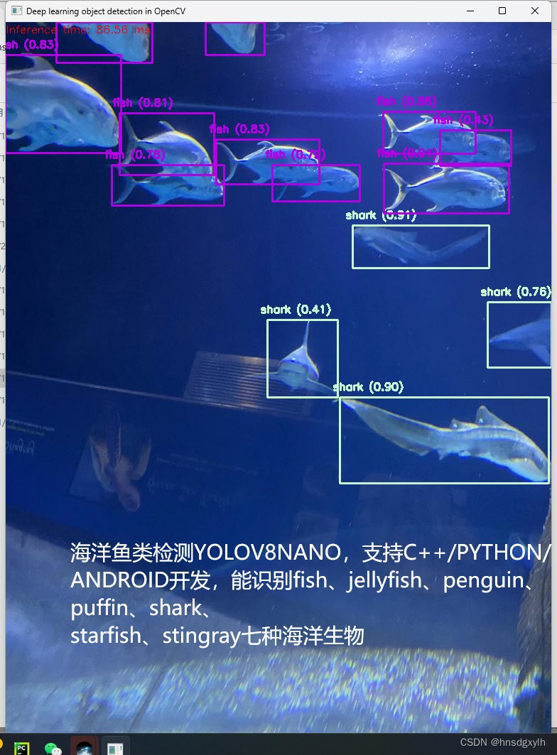 海洋鱼类检测7种YOLOV8NANO