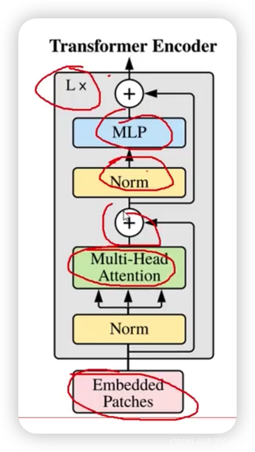 Transformer｜对图像数据构造patch序列+VIT整体架构解读（需进一步完善）