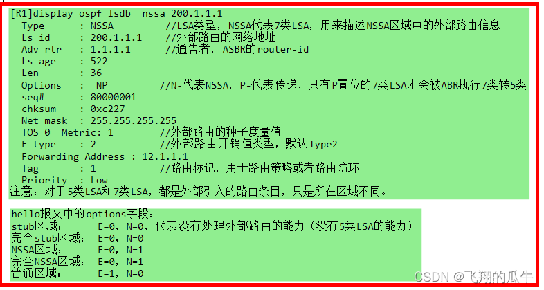 OSPF特殊区域（stub\nssa）