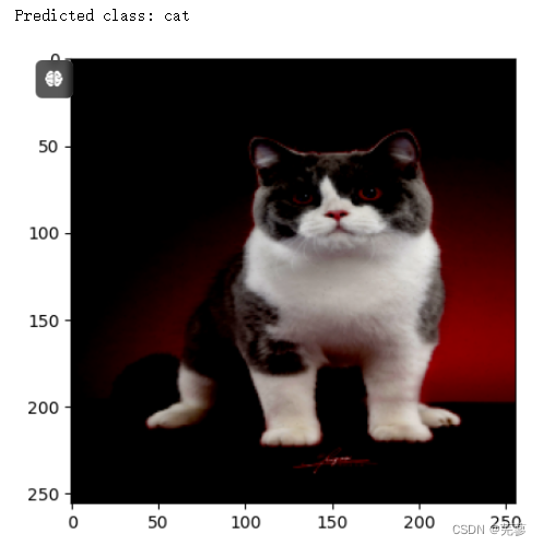 pytorch——猫狗识别