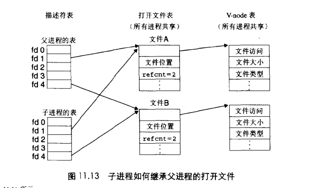 CSAPP第11章：共享文件