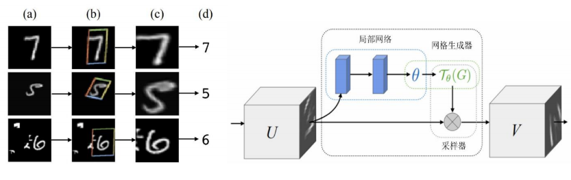 TransFormer学习之基础知识：STN、SENet、CBAM、Self-Attention