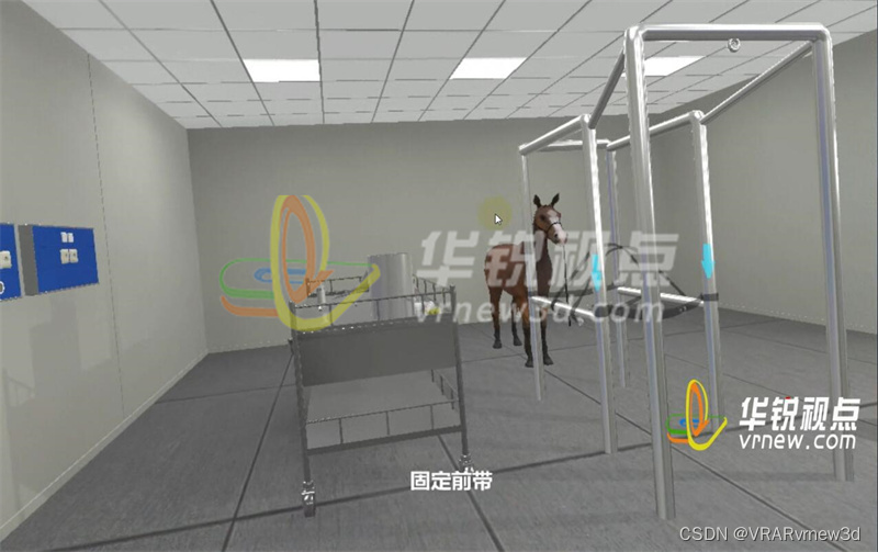 常见动物经济手术3d模拟交互演示教学实现了教育资源的共享