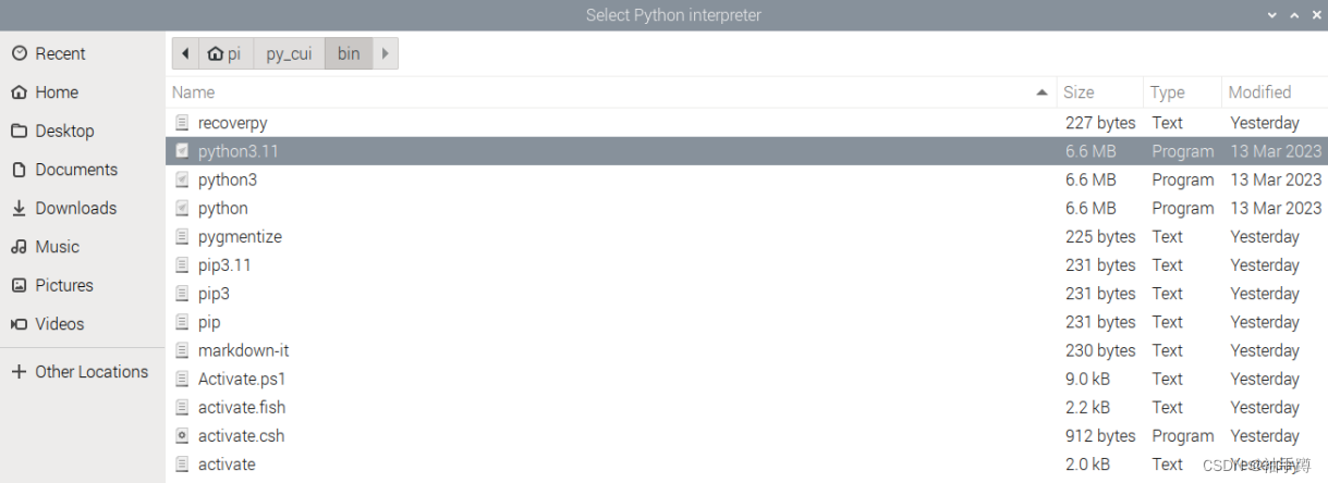 树莓派5安装VScode迎接2024年元旦节_树莓派5 能运行vscode吗-CSDN博客