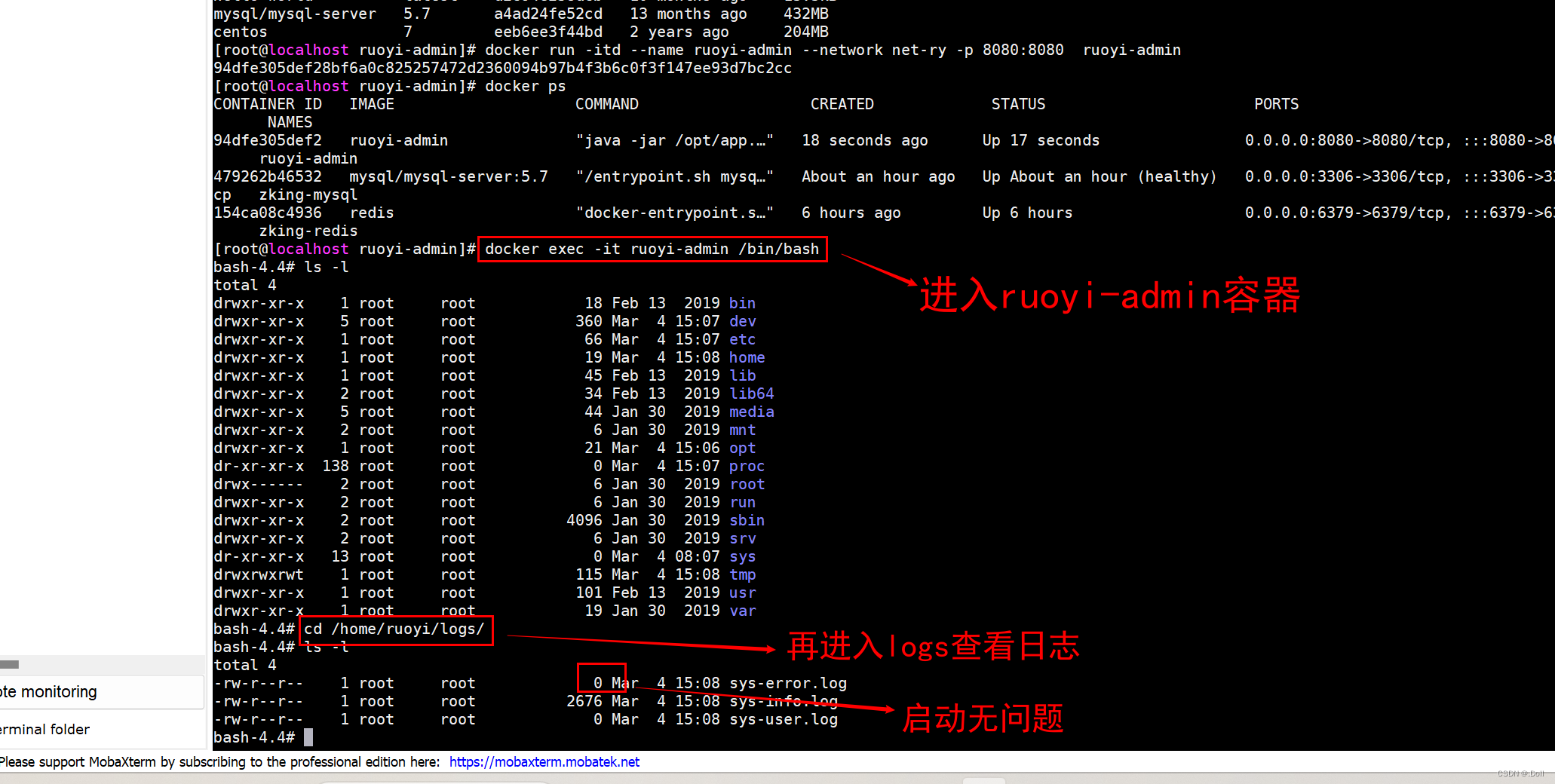 【Docker】若依后端项目搭建