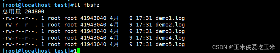 实验模拟gfs 五大逻辑卷